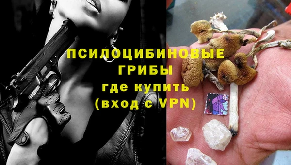 ешки Нягань