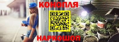 мяу мяу мука Аргун