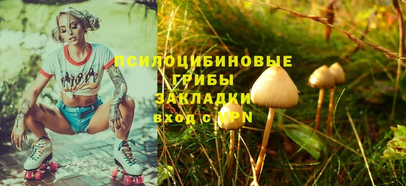 Псилоцибиновые грибы MAGIC MUSHROOMS  Белебей 