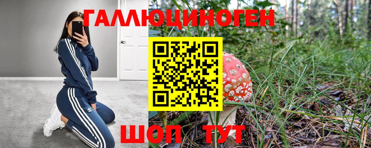 Галлюциногенные грибы мухоморы Белебей